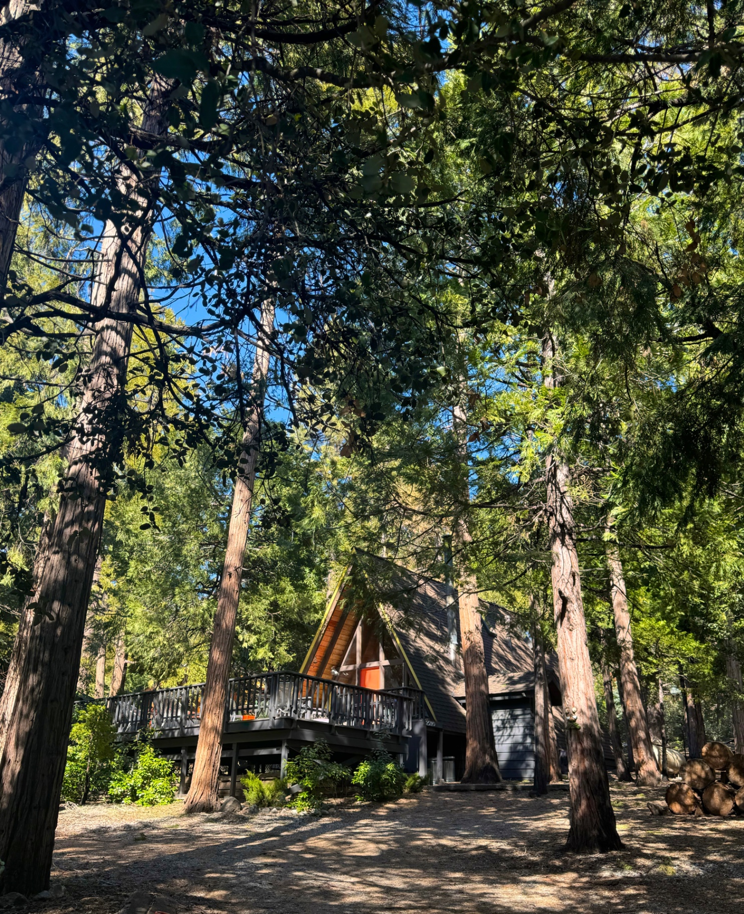 The A-Frame framed by tall cedars in daylight
