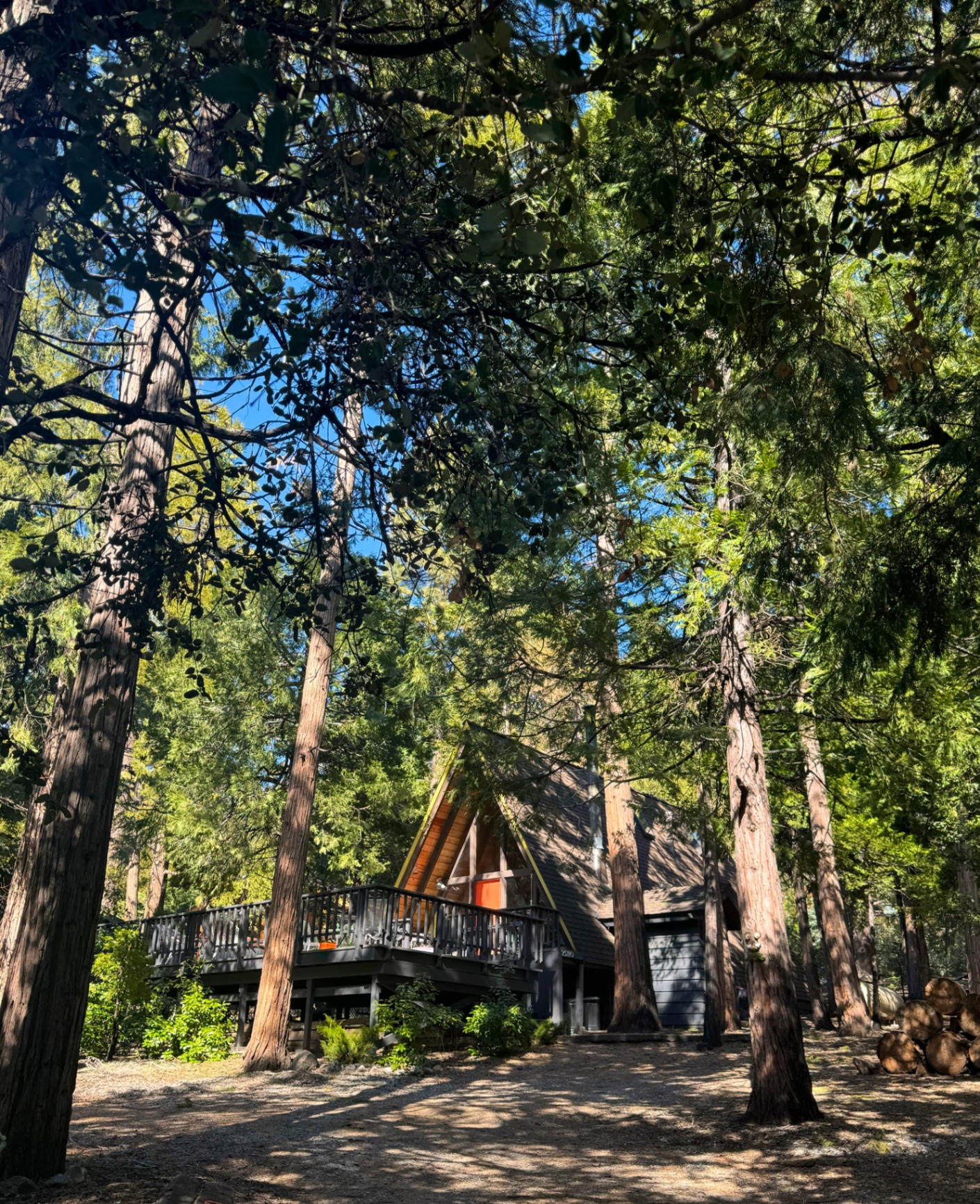 Path through the pines to House Little Bird